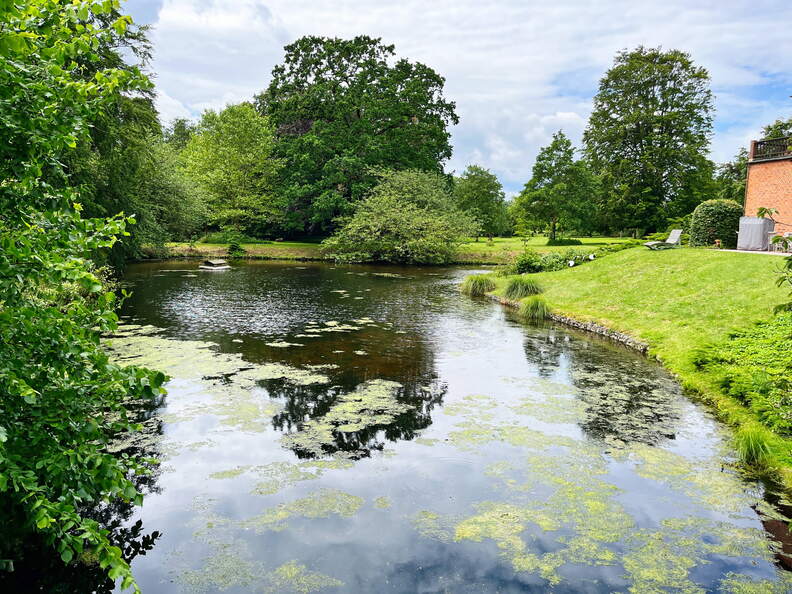 24-06-22 13-46-32 9772